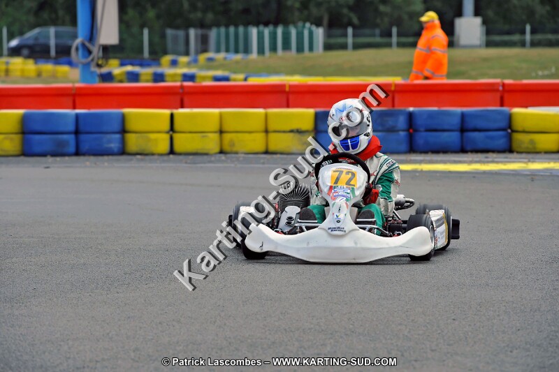DSC_ (1185).jpg